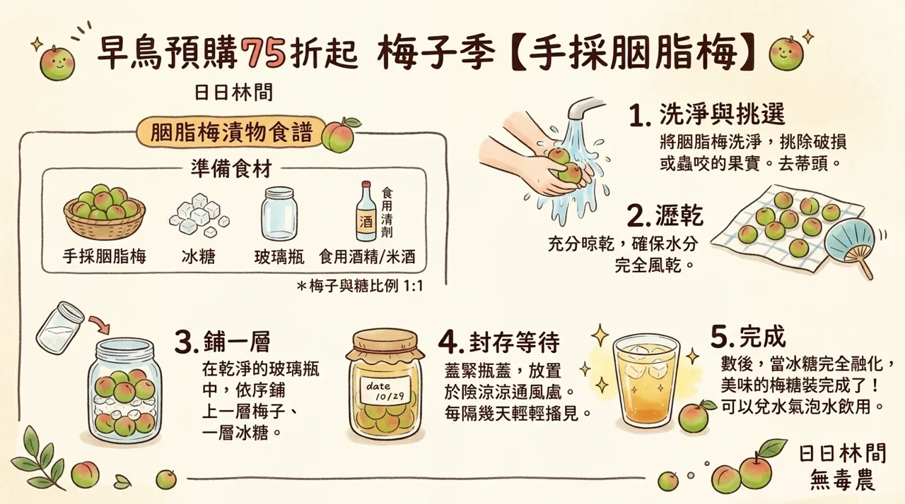 【手作食譜】胭脂梅漬物教學：簡單五步驟，鎖住梅子季的酸甜滋味