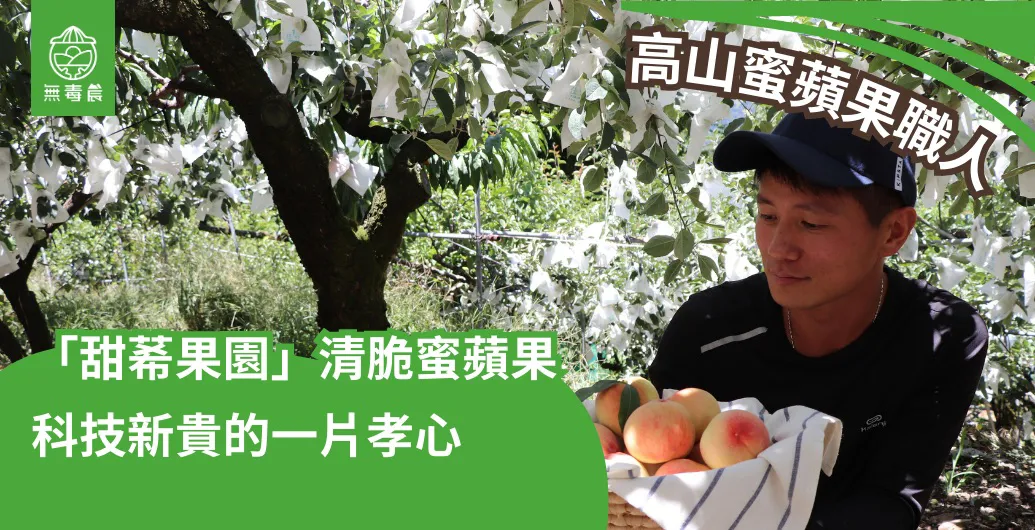 梨山甜莃果園｜許漢忠把工程師的細心，帶回山上的每一季