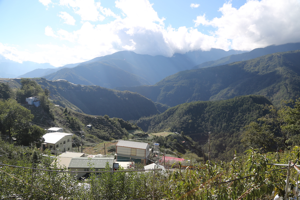 梨山山區與甜莃果園的坡地景色