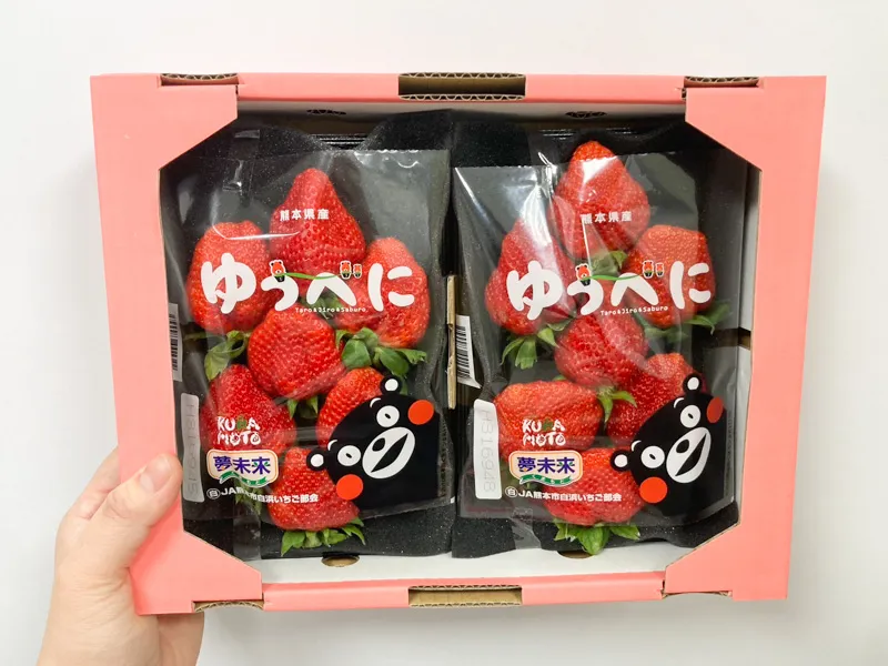 熊紅草莓ゆうべに