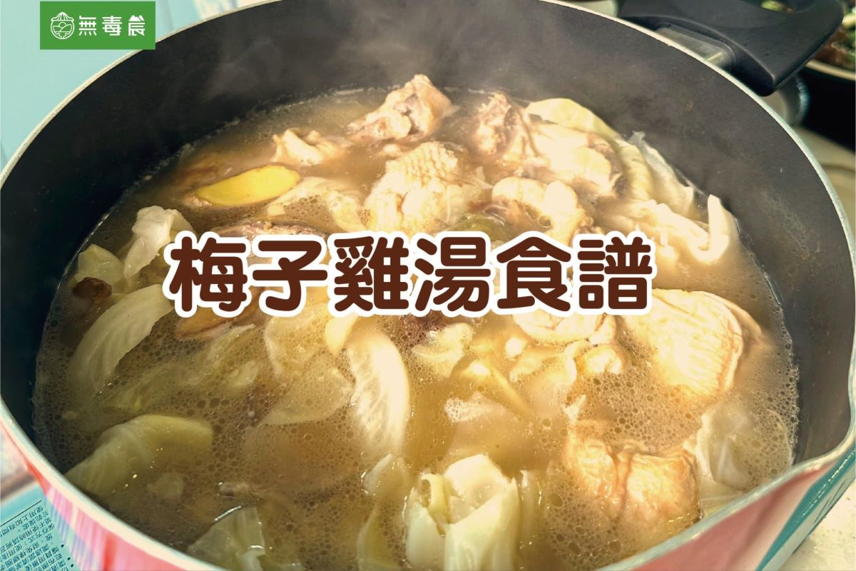 梅子料理食譜合集｜梅子燒（烤）雞翅、梅子雞湯料理食譜看這篇