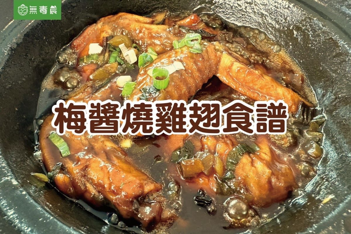 梅子料理食譜合集｜梅子燒（烤）雞翅、梅子雞湯料理食譜看這篇