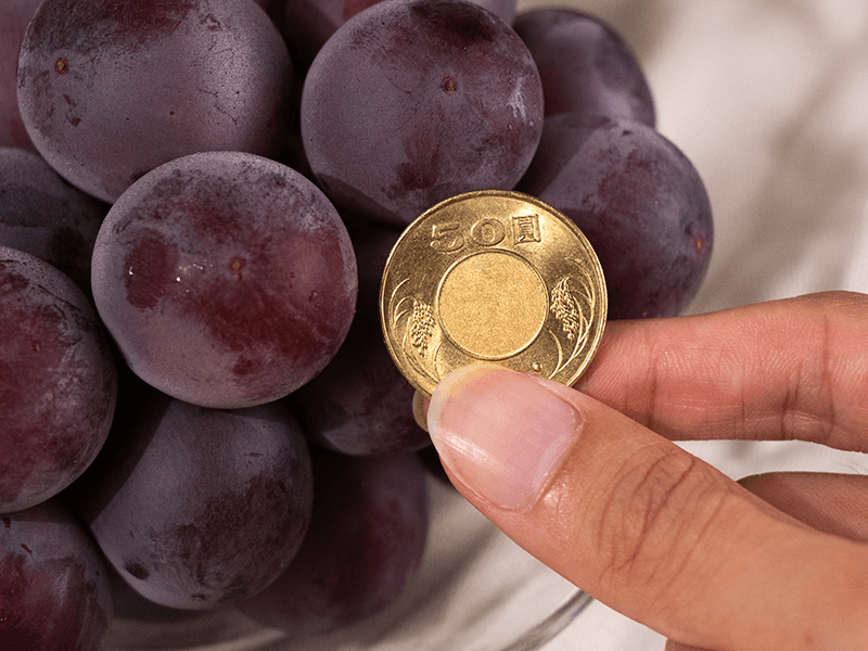 妮娜皇后紅葡萄,是在2011年推出的新葡萄品種,紫紅色的葡萄,粒粒渾圓飽滿,果肉Q彈香甜,果皮的酸度中和了甜膩感,葡萄愛好者值得一試!