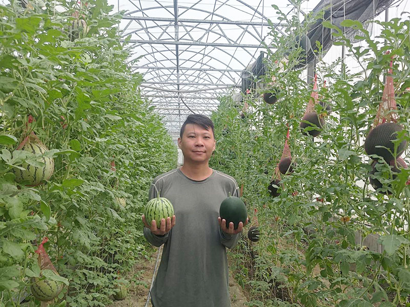 無毒農,友善環境,支持小農,小農,小西瓜,黑皮小西瓜,西瓜,無毒,有機,安心,水果