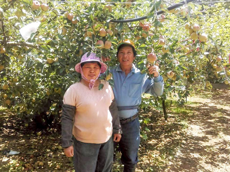 無毒農 蘋果 小農 紅惠 花惠 蜜蘋果 清脆 香氣 網購 台灣 甜美 無毒 有機 安心 水果 友善環境 支持小農