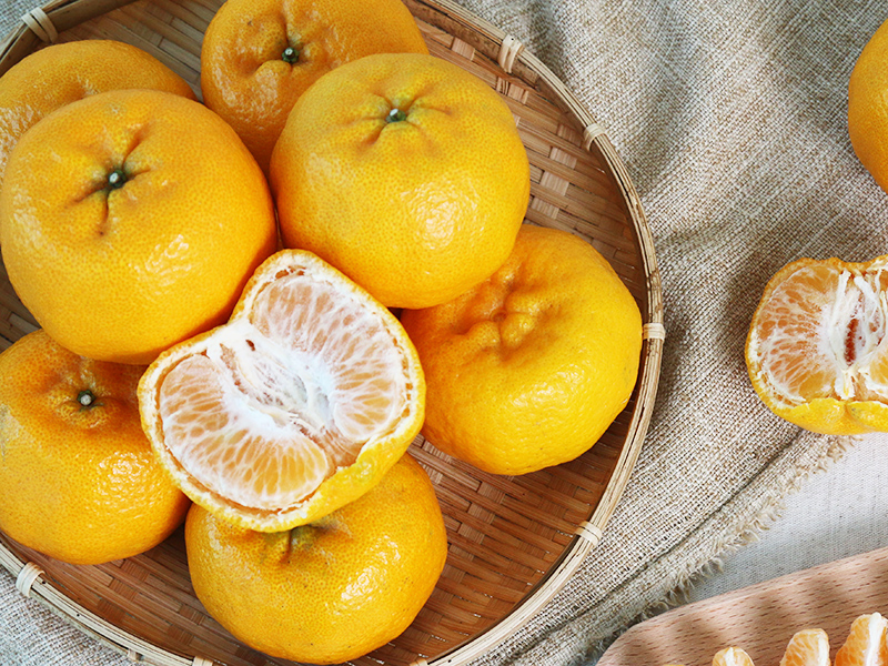 無毒農 椪柑 爆汁 皮薄 酸甜 柑橘 多汁 無毒 哪裡買